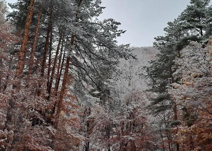 Saint Constantine Mountain Retreat 2*