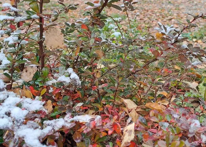 Hotell Saint Constantine Mountain Retreat