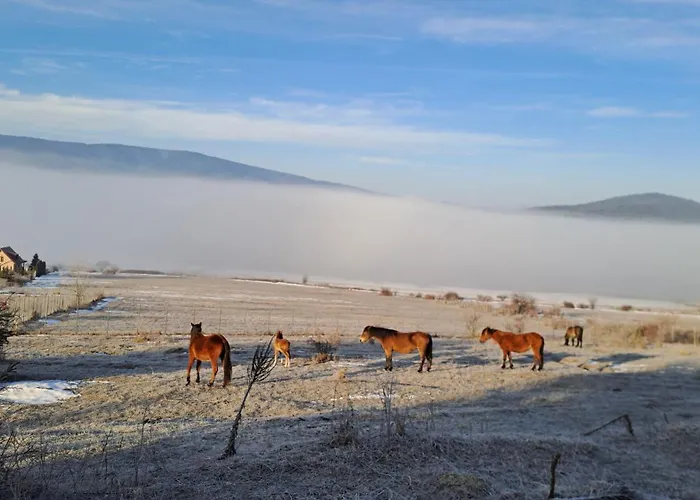 Saint Constantine Mountain Retreat 2* Peshtera (Pazardzhik)